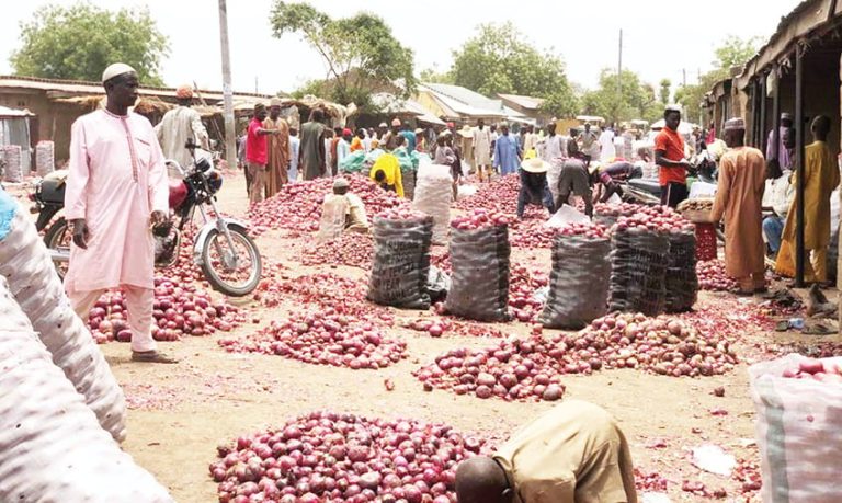 Nigeria Produces 2.1 Million Metric Tonnes of Onions Annually — Marketers